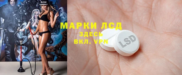 индика Аркадак