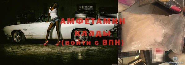 индика Аркадак
