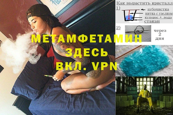 индика Аркадак