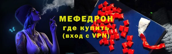 индика Аркадак