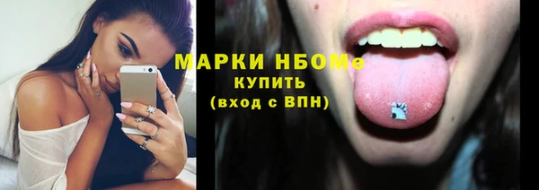 индика Аркадак
