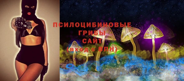 индика Аркадак