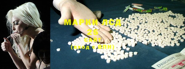 индика Аркадак