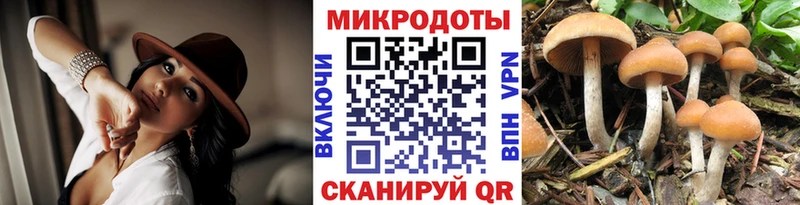 Галлюциногенные грибы MAGIC MUSHROOMS  Светлогорск 