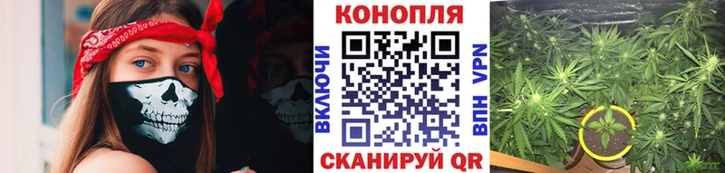 Каннабис AK-47  Светлогорск 